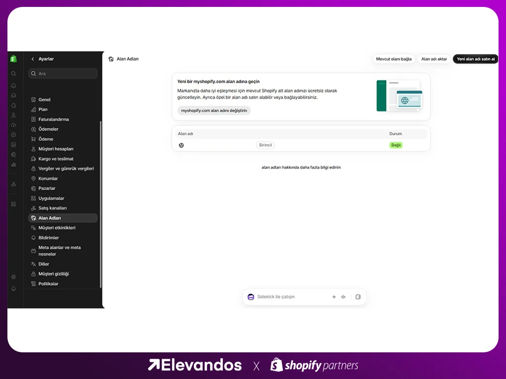 Shopify kategori ve alan tercihi