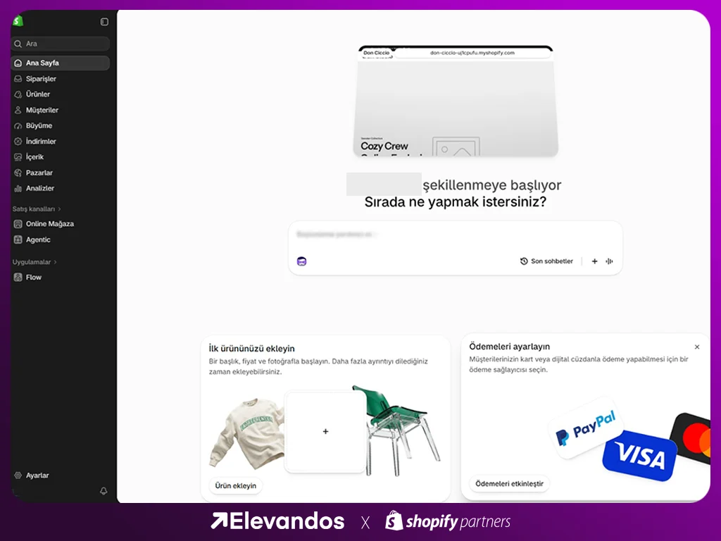 Shopify mağaza açma adımları