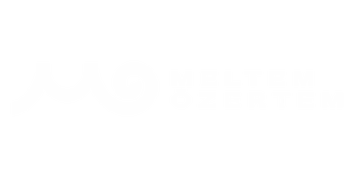 Meltem Özertem : 