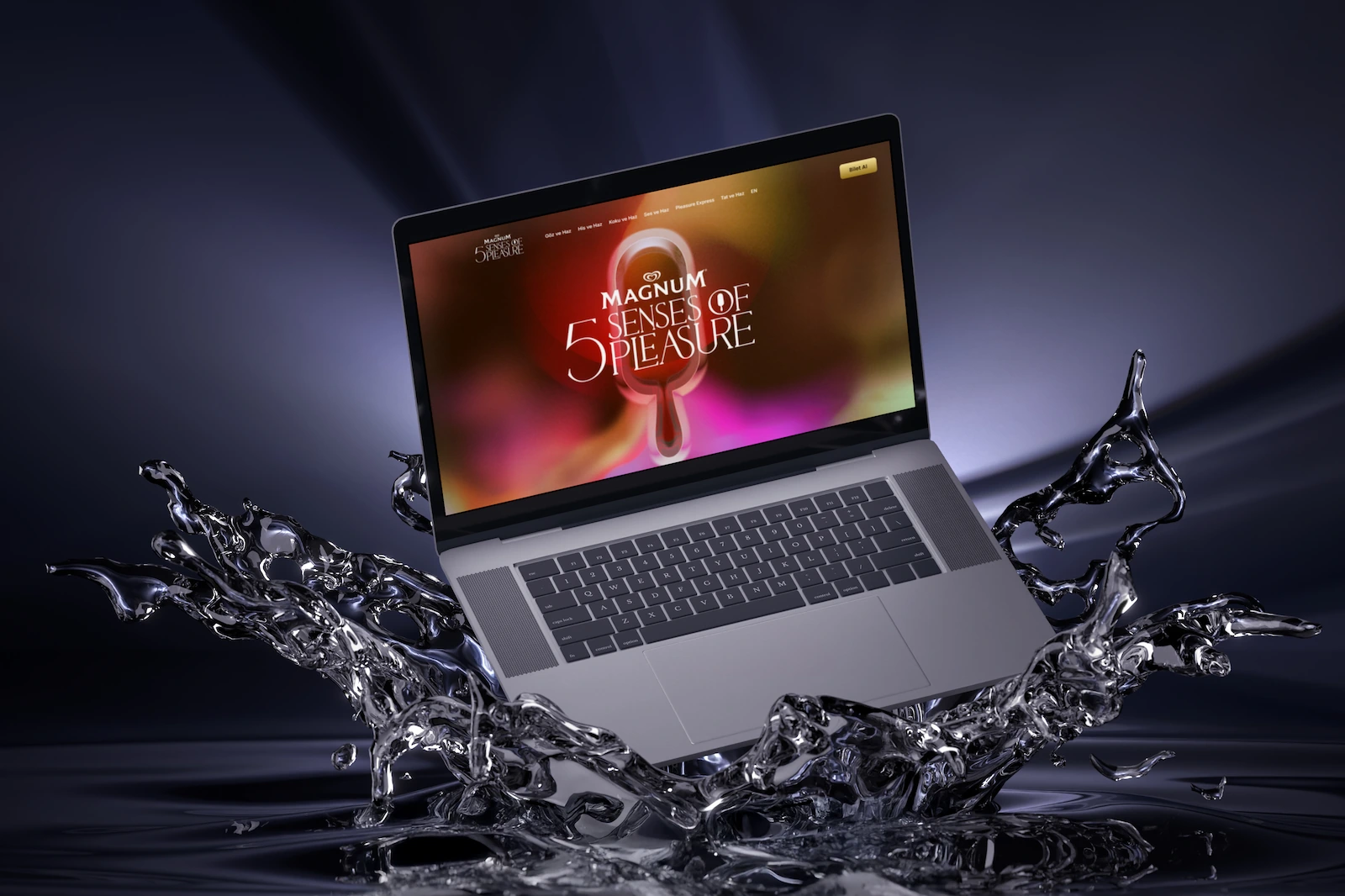 Web tasarım ve web yazılım ajansı